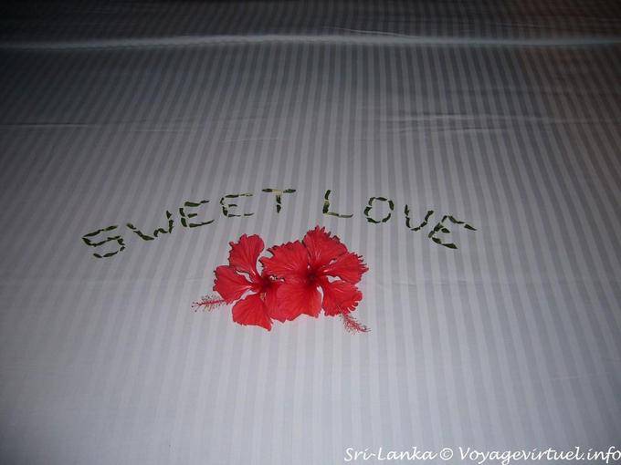 Sweet love hotel Eden spa Beruwela - Ceylan Sri Lanka