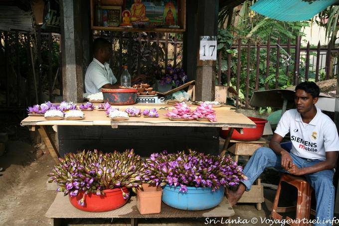 Petit étal d'un marchand de fleurs, Kandy - Ceylan Sri Lanka