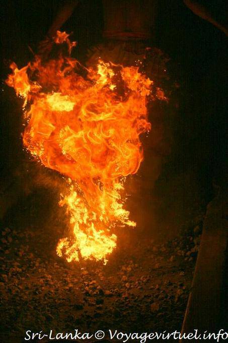 Passage dans les flammes, marche sur le feu, Kandy - Ceylan Sri Lanka