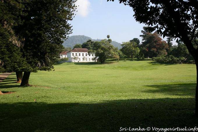 Peradeniya Parc botanique Kandy (royal botanic garden) - Ceylan Sri Lanka