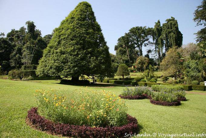 Parterres et diversité arboricole, Royal Botanic Gardens, Peradeniya - Ceylan Sri Lanka