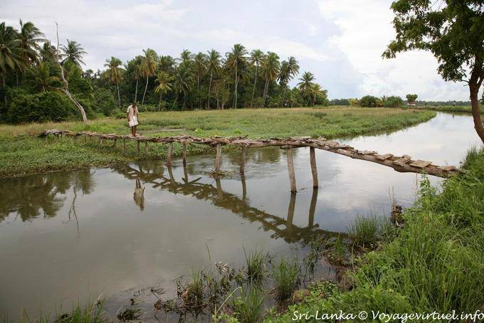 Franchissement d'un fragile pont de bois pièton, Batukotuwa road - Ceylan Sri Lanka