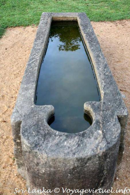 La behethoruwa ou l'auge médicament, Medirigiriya - Ceylan Sri Lanka