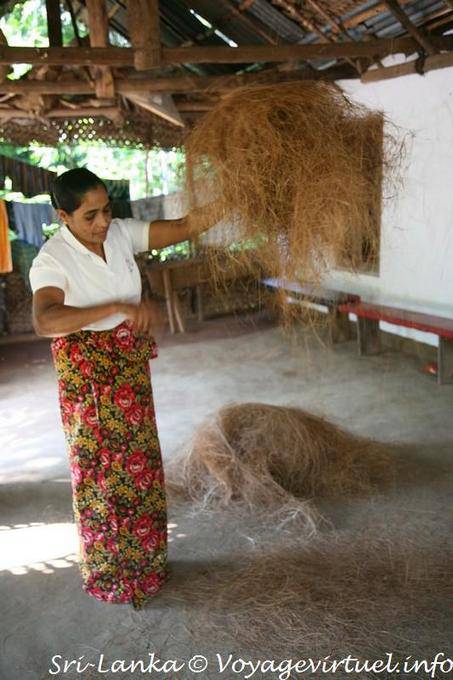 La fibre ou bourre de coco sert à faire des brosses, paillassons, matelas etc... Nalanda - Ceylan Sri Lanka