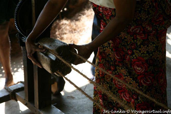 Les fibres de la bourre du cocotier sont utilisées pour la confection de cordages, Nalanda - Ceylan Sri Lanka