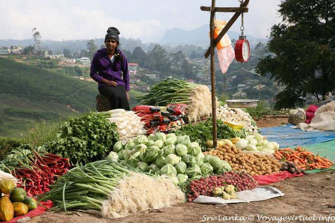 Etal de légumes frais sur le bord de la route, Nuwara Eliya - Ceylan Sri Lanka