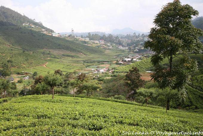 Panorama depuis les hauteurs en arrivant à Nuwara Eliya - Ceylan Sri Lanka