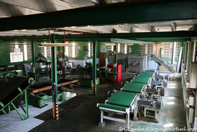 Salle de tri du thé au repos, Glenloch Tea Factory, PBC Highway - Ceylan Sri Lanka