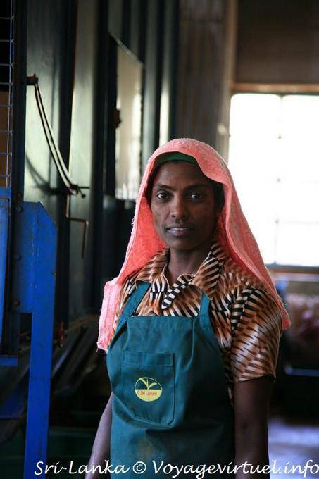 Portrait d'une ouvrière, usine de Glenloch Tea, environs de Nuwara Eliya - Ceylan Sri Lanka