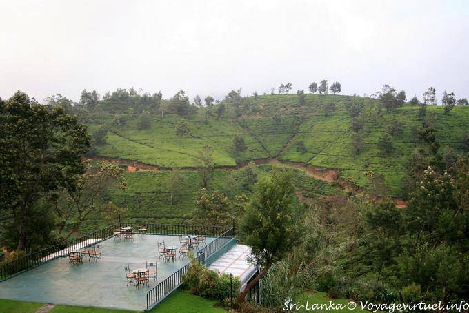 Terrasse au milieu du paysage de plantations de thé, Tea Factory, Nuwara Eliya - Ceylan Sri Lanka