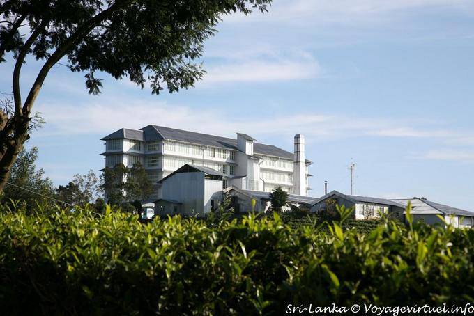 Panoramique sur l'hôtel, ancienne fabrique britannique, Tea Factory, Nuwara Eliya - Ceylan Sri Lanka