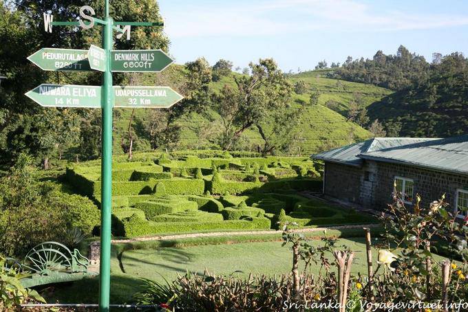 Topiaires dans le jardin du Tea Factory Hotel, Nuwara Eliya - Ceylan Sri Lanka