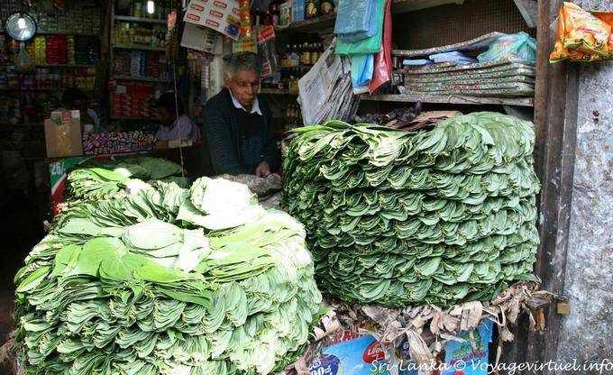 Tas de feuilles pour la prise de bétel, marché de Nuwara Eliya - Ceylan Sri Lanka