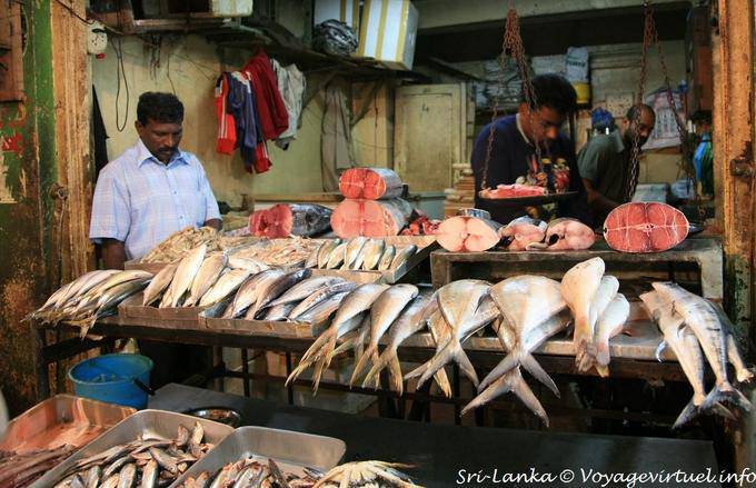 Poissons frais sur l'étal du poissonnier, Nuwara Eliya Market - Ceylan Sri Lanka