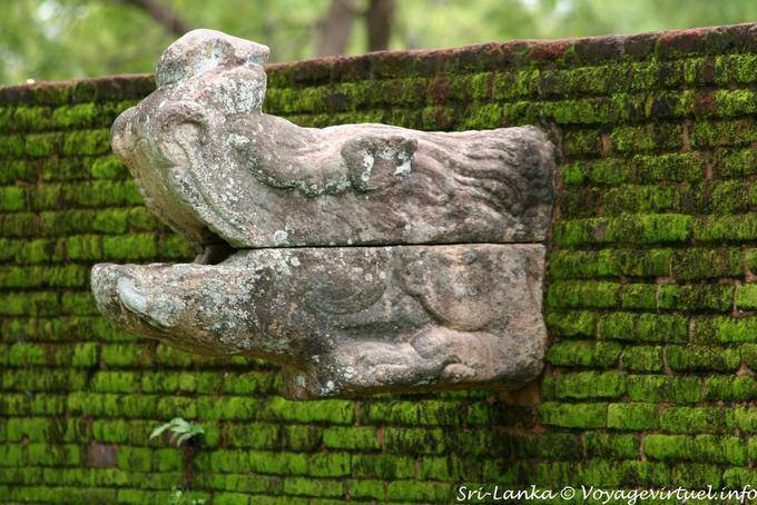 Sorte de gargouille sortant d'un mur, Alahana Parivena, Polonnaruwa - Ceylan Sri Lanka
