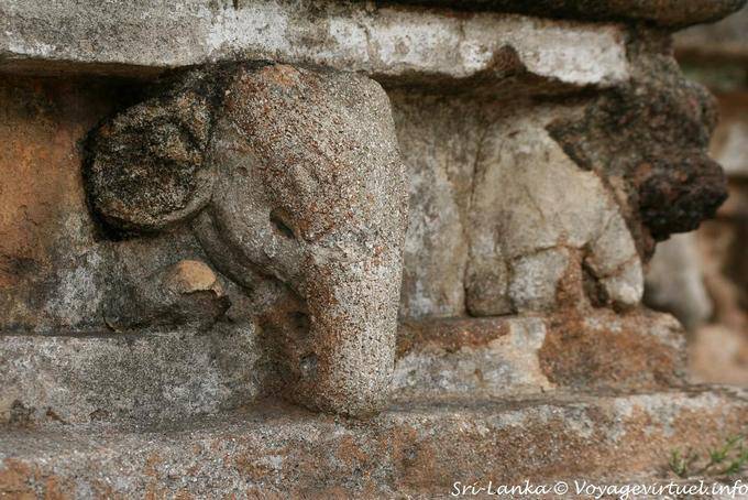 Eléphant sculpté, Kalu Gal Vihara, Polonnaruwa - Ceylan Sri Lanka