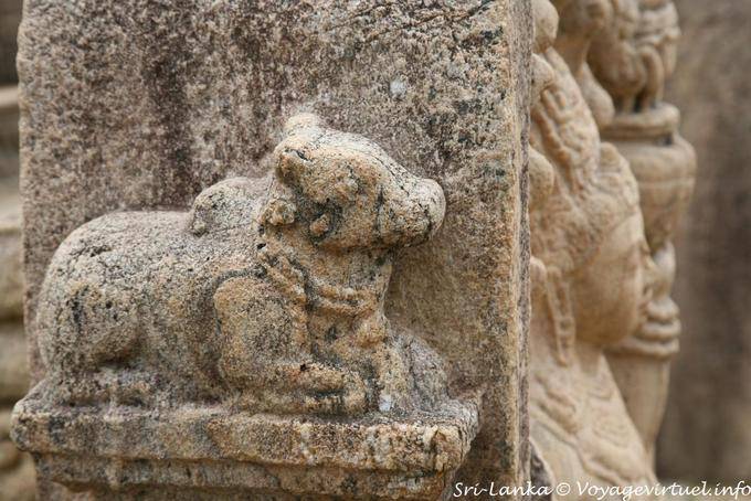 Zébu de pierre, Terrasse de la Dent, Polonnaruwa - Ceylan Sri Lanka
