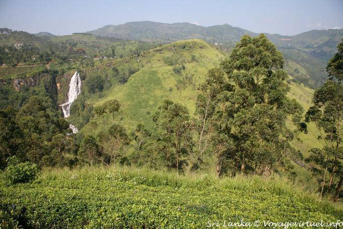 Environnement de la cascade Devon vers Talawa - Ceylan Sri Lanka
