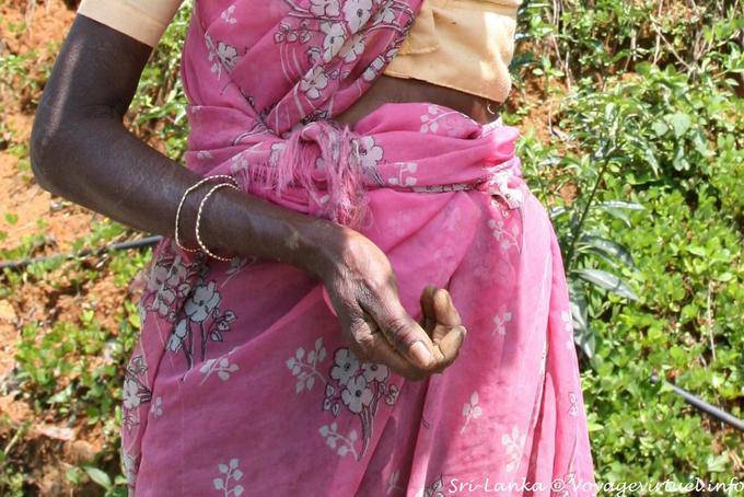 La main de la travailleuse pauvre, Kalugala - Ceylan Sri Lanka