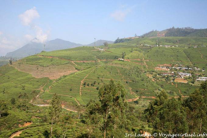 Architecture paysagère sri-lankaise, province du Centre - Ceylan Sri Lanka