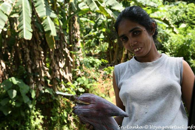 La coupeuse de bananier, Kitulgala - Ceylan Sri Lanka