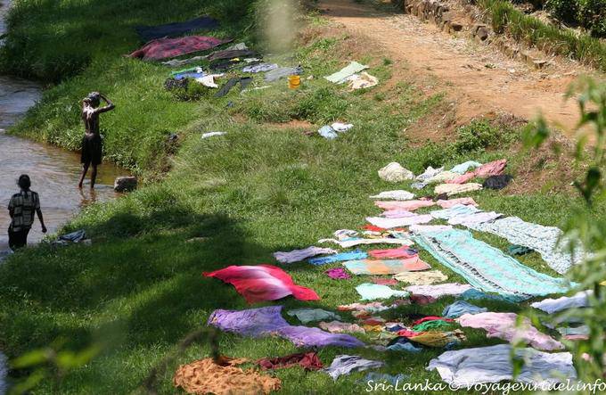 Toilette et séchage du linge au bord de la rivière Kelani vers Kitulgala - Ceylan Sri Lanka