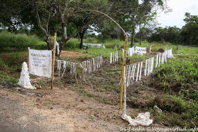 Tombe fraiche dans la campagne aux environs de Sigirîya village - Ceylan Sri Lanka