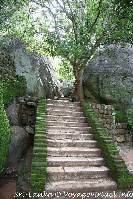 Sigirîya, escalier initiatique entre les rochers boules au pied du roc - Ceylan Sri Lanka