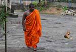 Moine dans sa robe safran, Gadaladeniya Temple, Kandy, Ceylan Sri Lanka.