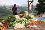Etal de légumes frais sur le bord de la route, Nuwara Eliya, Ceylan Sri Lanka.