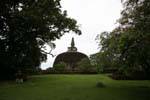 Découverte du haut du dagoba Rankoth Vehera, Polonnaruwa, Ceylan Sri Lanka.