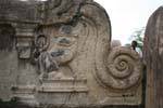 Drôle de lion sur la rampe de l'escalier du temple Vatadage, Polonnaruwa, Ceylan Sri Lanka.
