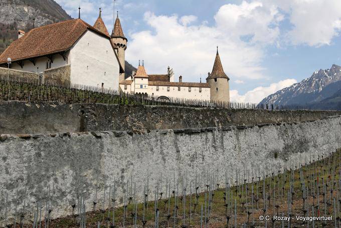 Montagnes, vignes et château d'Aigle - Suisse