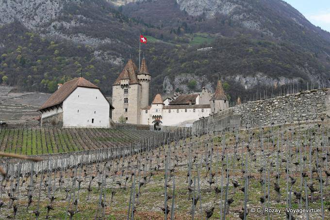 Vue sur le château d'Aigle depuis les vignobles environnants - Suisse