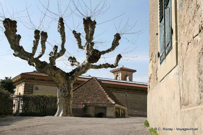 Arbre et bâtiments, environ du château de l'Evêché, Lausanne - Suisse