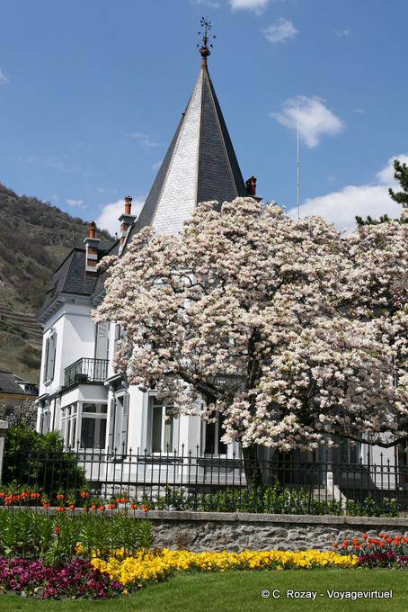Fleurs de printemps à Martigny - Suisse