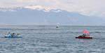 Pedalos sur le lac Léman, Ouchy, Suisse.