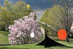 Martigny, fondation Gianadda, Alexander Calder, arbre en fleurs et Stabile-Mobile, métal peint, Suisse.