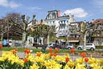 Tulipes sur le Quai Perdonnet, Vevey, Suisse.