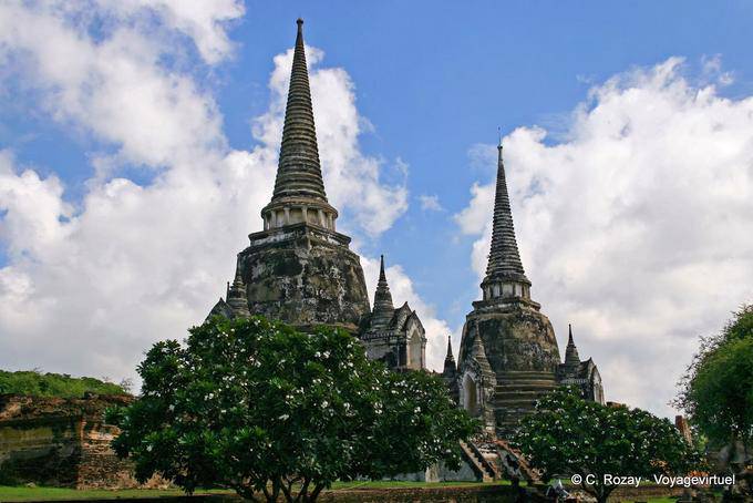 Frangipaniers devant chedis, Ayutthaya, Wat Phra Sri Samp - Thaïlande