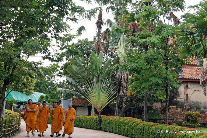 Les bonzes et arbre du voyageur, Wat Yai Chai Mongkol, Ayutthaya - Thaïlande