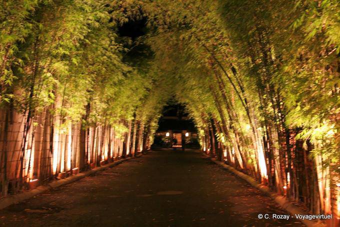 Allée de bambous, Chiang Mai - Thaïlande