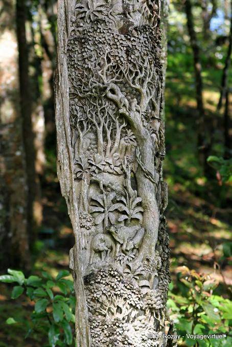Arbre sculpté, Phuping Palace, Chiang Mai - Thaïlande