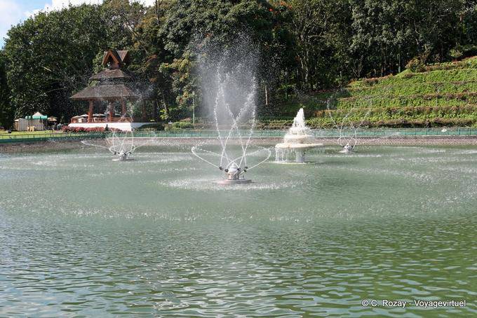 Jets d'eau tournants, Phuping Palace, Chiang Mai - Thaïlande