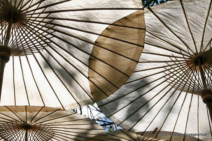 Grandes ombrelles, Phuping Palace, Chiang Mai - Thaïlande