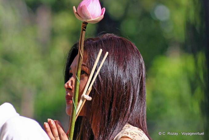 Prière fervente avec lotus, Chiang Mai Temple - Thaïlande