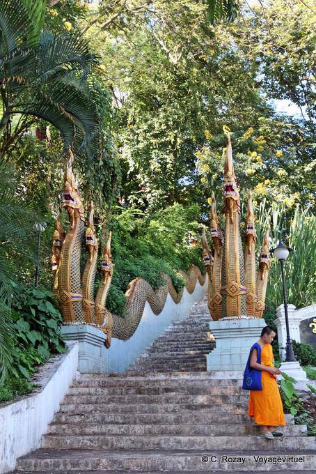 Escalier aux Nagas du Phrathat Doi Suthep, Chiang Mai Temple - Thaïlande