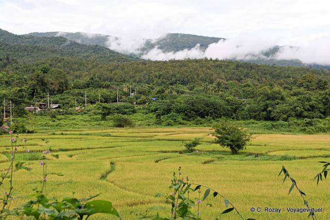 Paysage des environs de Chiang Mai - Thaïlande