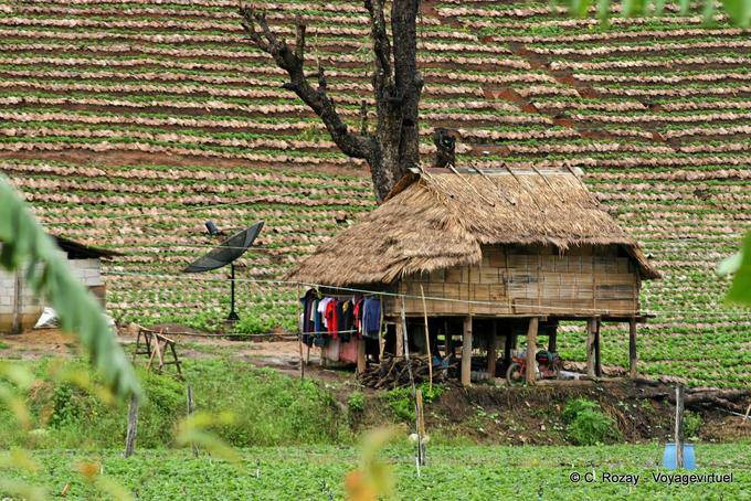 Habitation campagnarde traditionnelle, Chiang Mai - Thaïlande