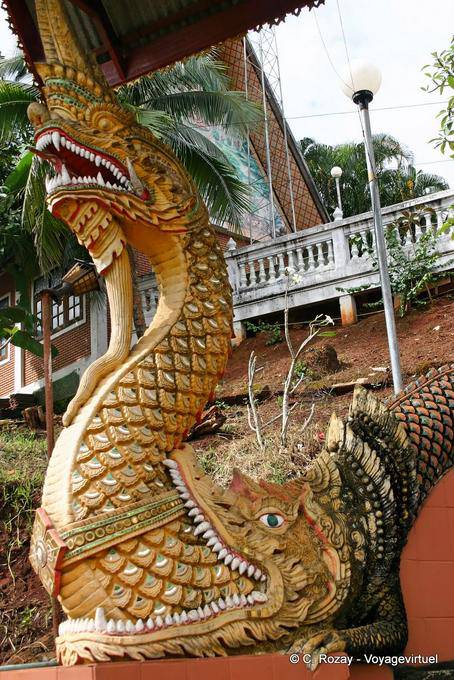 Le crocodile mangeant le naga, Nord-ouest de Chiang Mai - Thaïlande